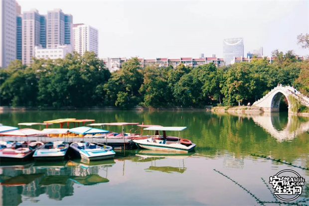 ag�ٷ�����ƽ̨(����)��ҳ