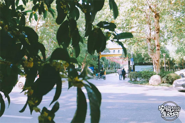 ag�ٷ�����ƽ̨(����)��ҳ