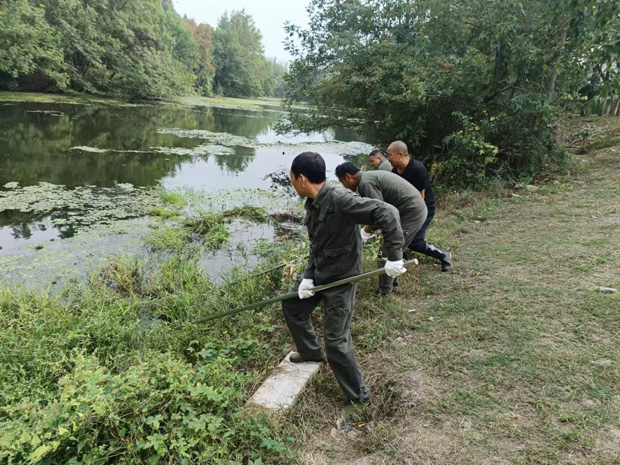 ag�ٷ�����ƽ̨(����)��ҳ