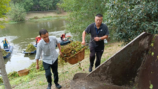 ag�ٷ�����ƽ̨(����)��ҳ