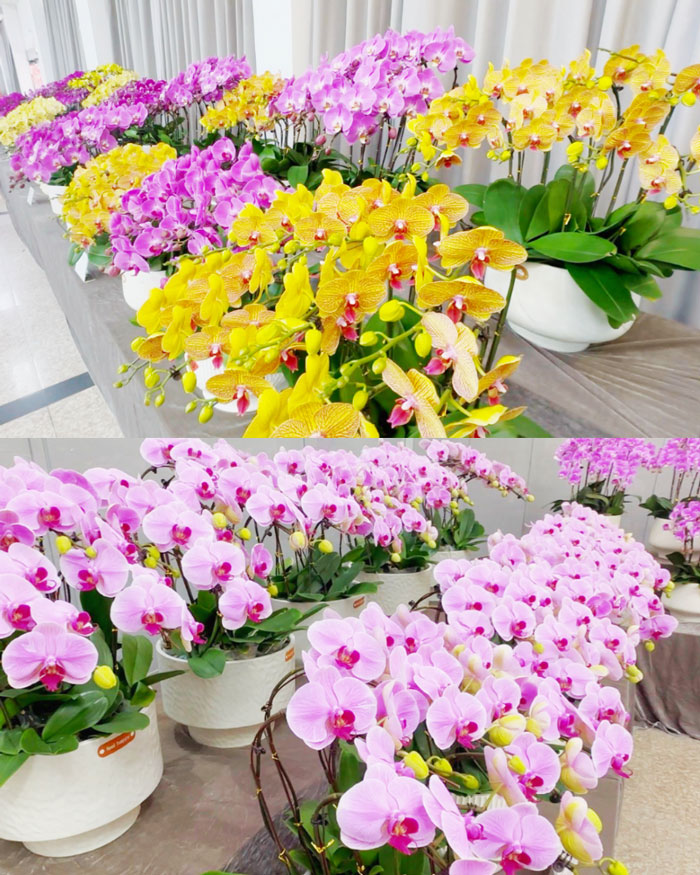 ag�ٷ�����ƽ̨(����)��ҳ