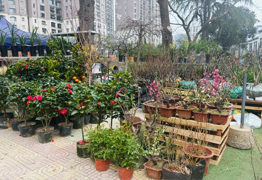 ag�ٷ�����ƽ̨(����)��ҳ